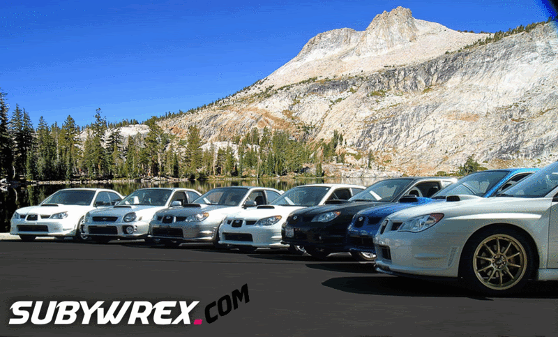 Name:  subies.gif
Views: 58
Size:  209.6 KB