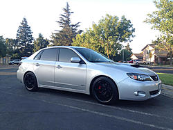 New look for the rex-image-2974804005.jpg