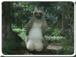 Name:  balllllss1.gif
Views: 33
Size:  217.1 KB