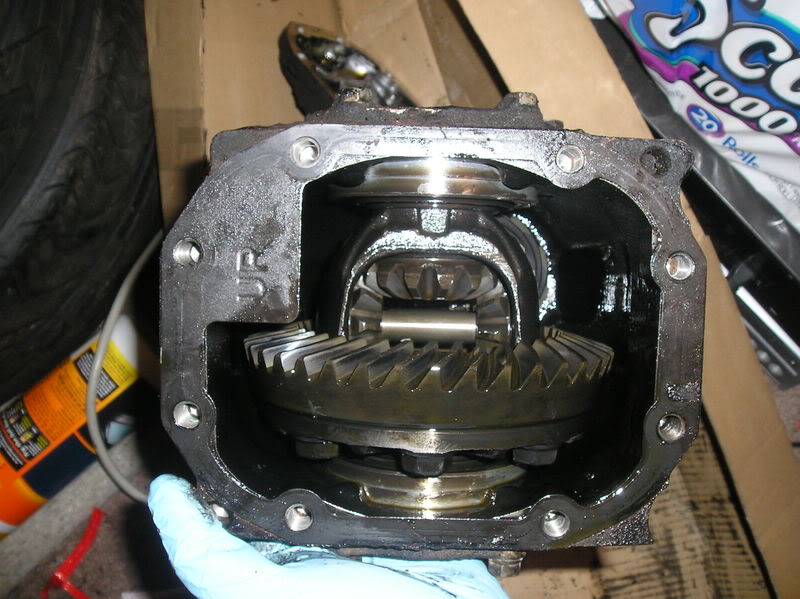 Name:  P1010009.jpg
Views: 148
Size:  88.3 KB