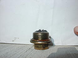 Is this bad? (drain plug pic)-dsc00514.jpg