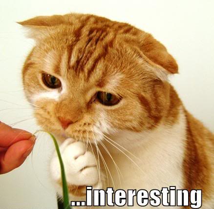 Name:  interesting.jpg
Views: 8
Size:  29.4 KB