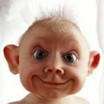 Name:  kil_est_mignon.jpg
Views: 21
Size:  4.1 KB