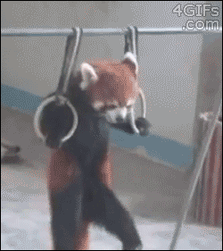Name:  HwonWWM.gif
Views: 11
Size:  2.00 MB
