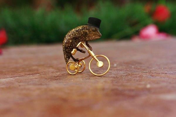 Name:  9lYGwaN.jpg
Views: 22
Size:  30.4 KB