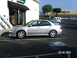 Hey Freddie!-temppics-003-ba.jpg