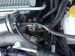 need some help-dsc00524.jpg