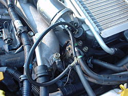 need some help-dsc00525.jpg