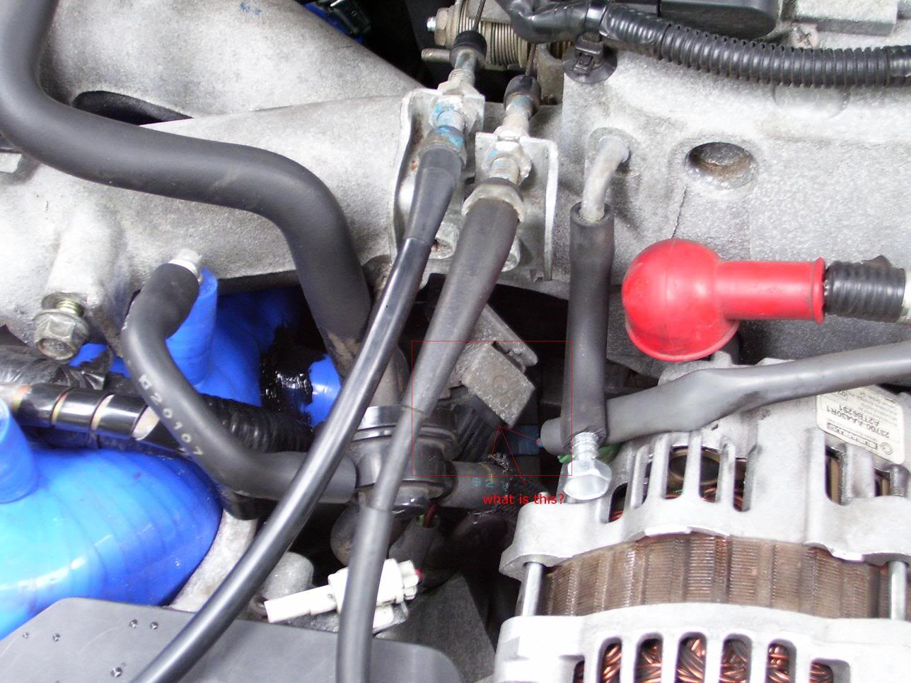 Name:  100_0117_edit.jpg
Views: 975
Size:  167.3 KB