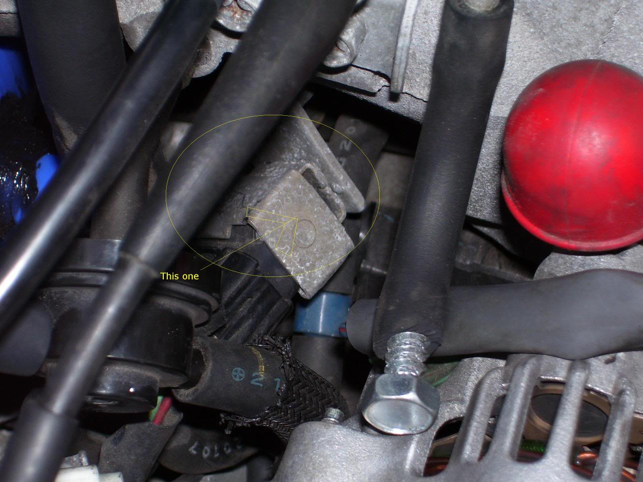 Name:  100_0119_edit.jpg
Views: 140
Size:  134.9 KB