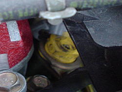 Missing gray dust covers on injectors-nocap.jpg