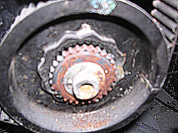 PLEASE HELP!!!: 04 USDM STI Engine Question-dscn3906.jpg