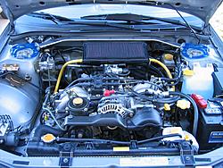 New custom intake-130_3072-resized.jpg