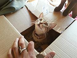 help with ej25 rebuild?-901149_10152836833790174_1992674511_o.jpg