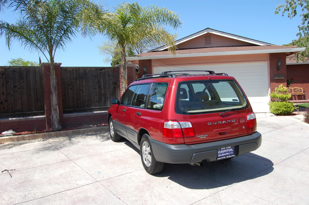 Name:  DSC_0164.jpg
Views: 34
Size:  193.2 KB