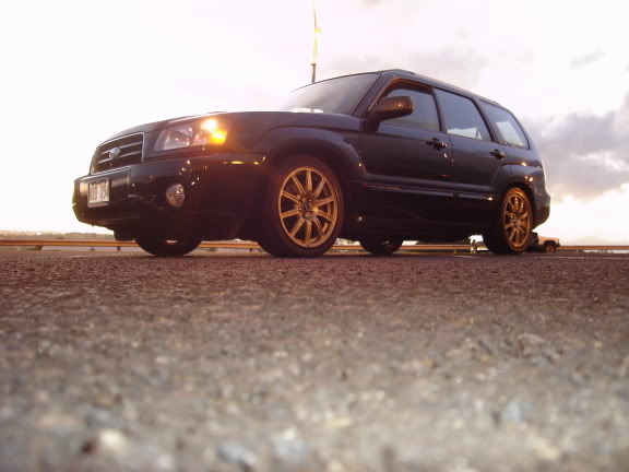 Name:  DSC01381.jpg
Views: 312
Size:  34.9 KB