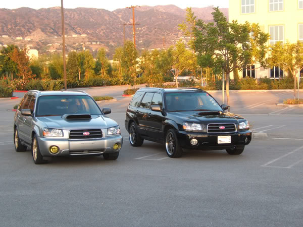 Name:  FXT09.jpg
Views: 405
Size:  69.4 KB