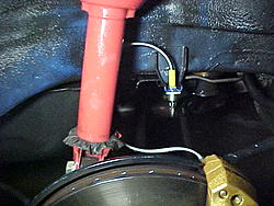 Need a little help tonight-mvc-024s.jpg