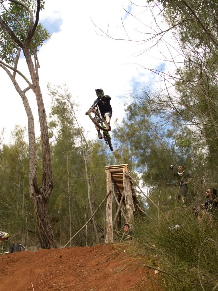 Name:  Timberlinedrop.jpg
Views: 21
Size:  163.0 KB