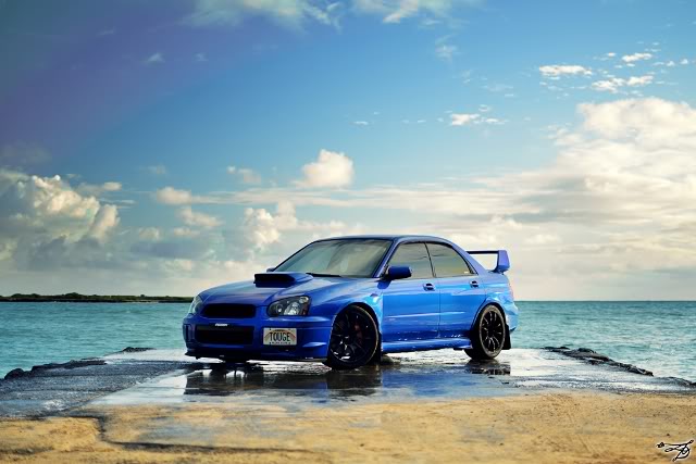 Name:  DSC_5616-7.jpg
Views: 61
Size:  46.7 KB