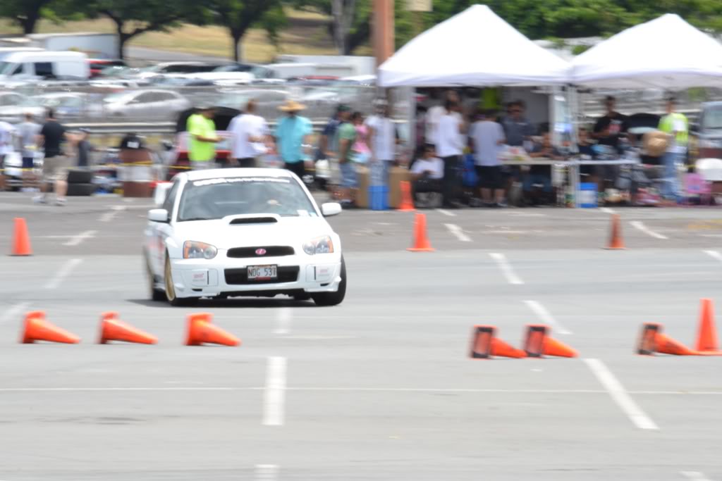 Name:  DSC_1975_crop.jpg
Views: 19
Size:  68.5 KB