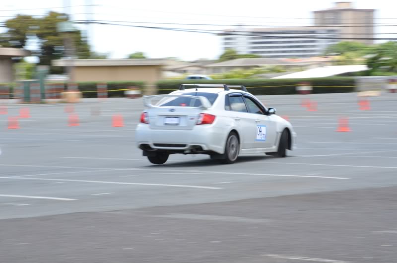 Name:  DSC_9824.jpg
Views: 15
Size:  44.4 KB