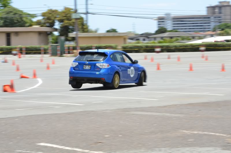 Name:  DSC_9625.jpg
Views: 14
Size:  53.7 KB