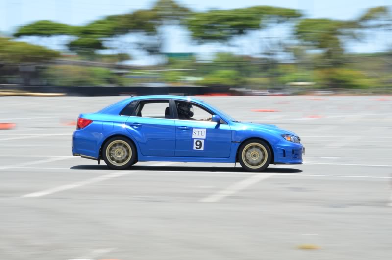 Name:  DSC_9580.jpg
Views: 21
Size:  47.3 KB