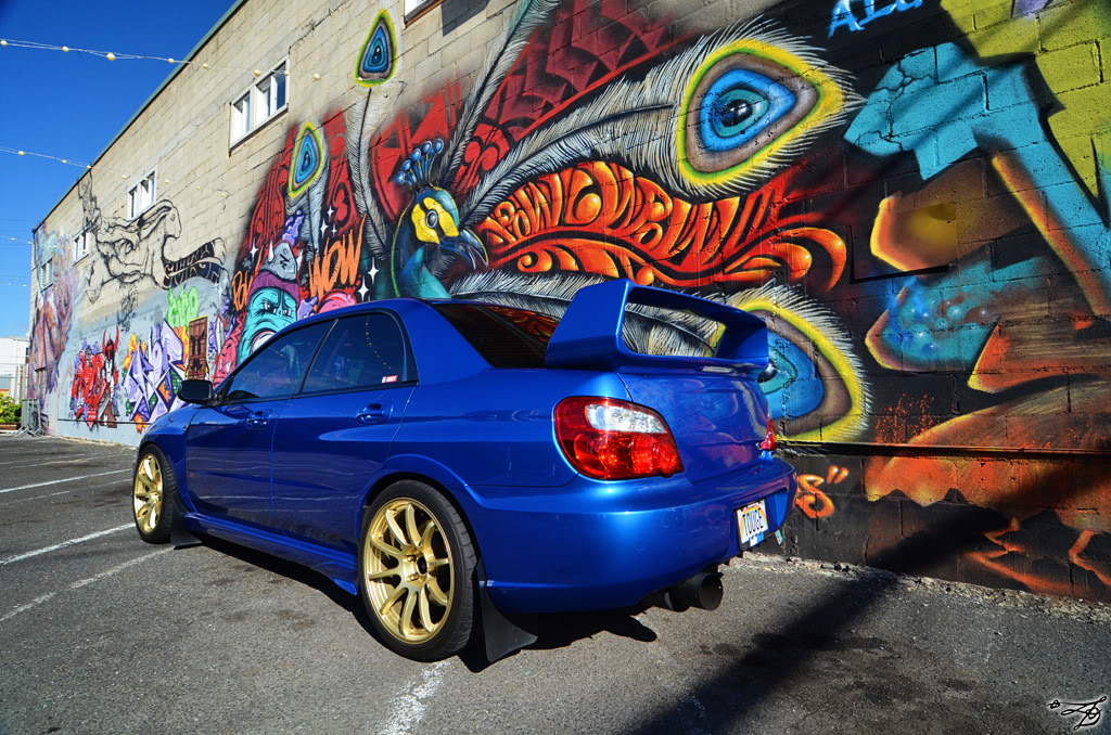 Name:  DSC_7766.jpg
Views: 23
Size:  348.0 KB