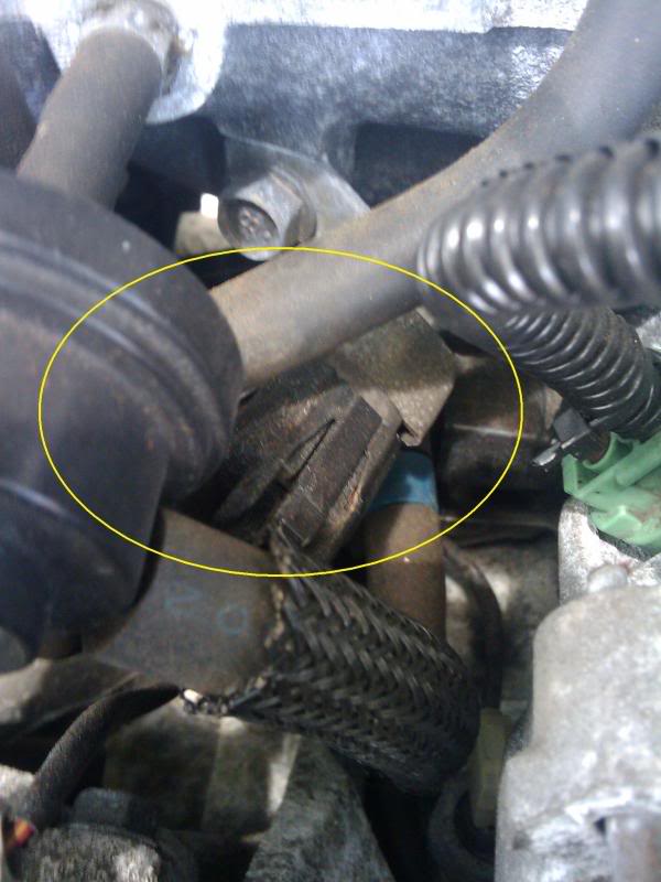 Name:  2009-09-17114541-1.jpg
Views: 3
Size:  55.3 KB