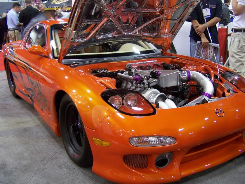 Name:  100_3797.jpg
Views: 17
Size:  93.6 KB