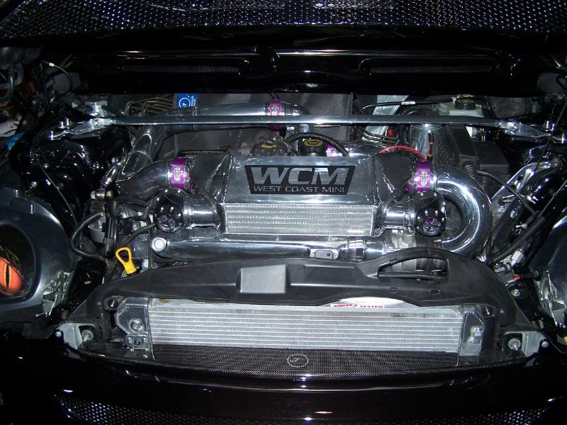 Name:  100_3735.jpg
Views: 20
Size:  98.1 KB