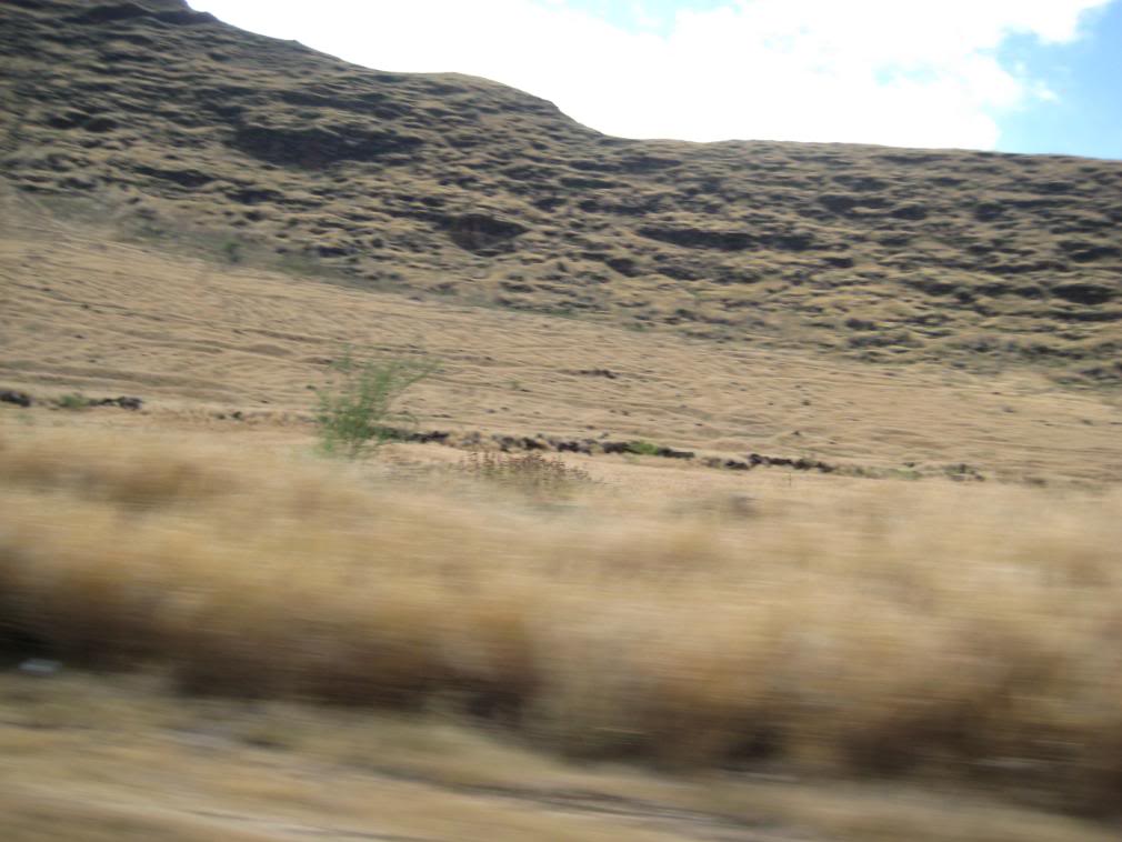 Name:  IMG_0329.jpg
Views: 20
Size:  79.2 KB