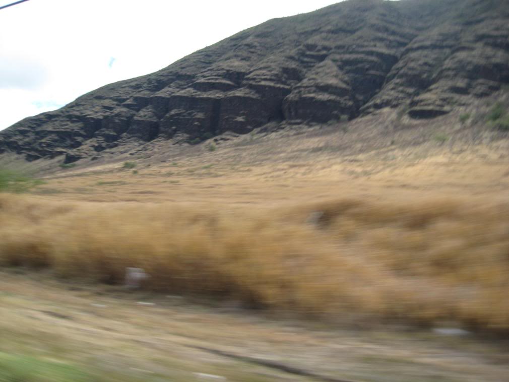 Name:  IMG_0331.jpg
Views: 21
Size:  63.6 KB