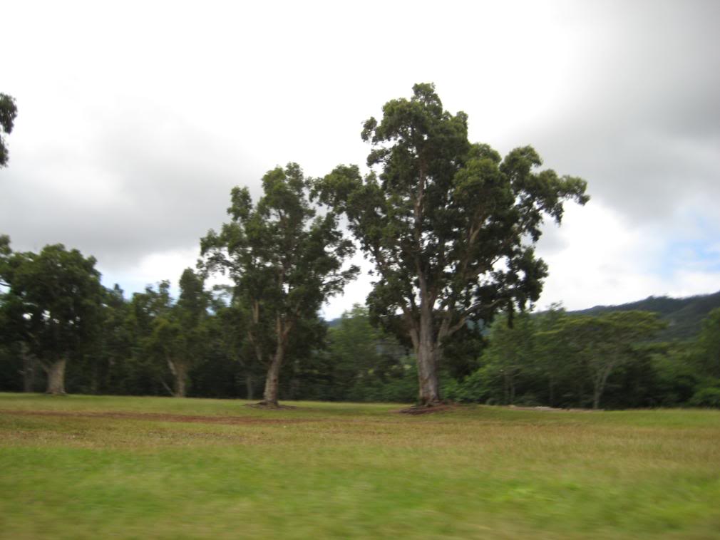 Name:  IMG_0370.jpg
Views: 28
Size:  67.4 KB