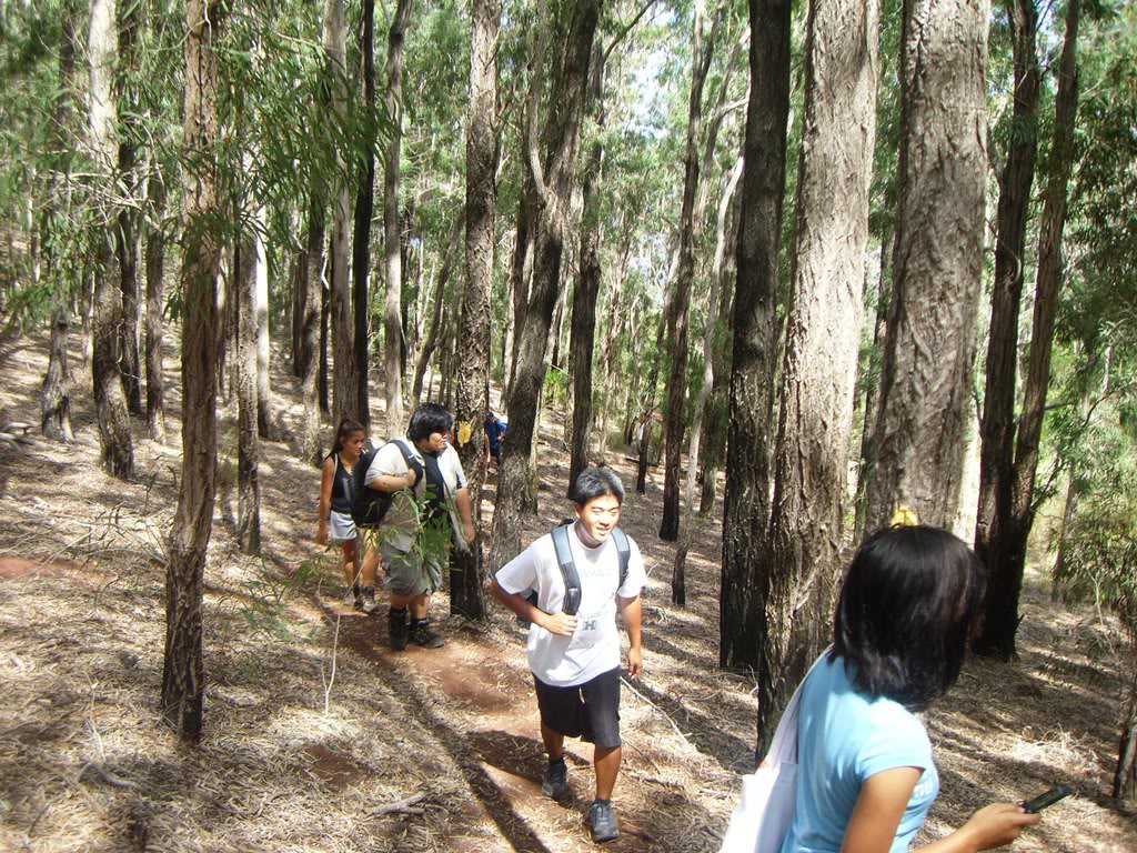 Name: CIMG3905.jpg
Views: 20
Size: 308.3 KB