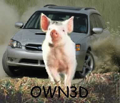 Name:  pig.jpg
Views: 18
Size:  27.1 KB