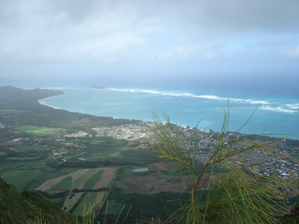 Name:  DSC00064.jpg
Views: 29
Size:  106.8 KB