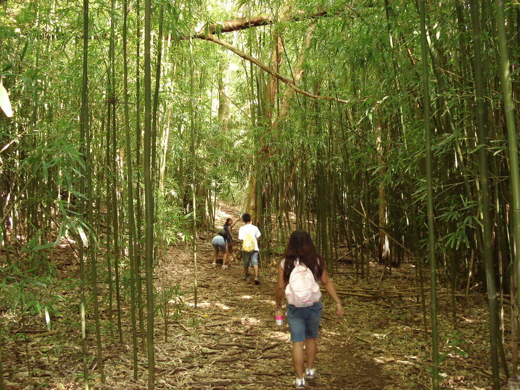 Name:  DSC00220.jpg
Views: 22
Size:  247.6 KB