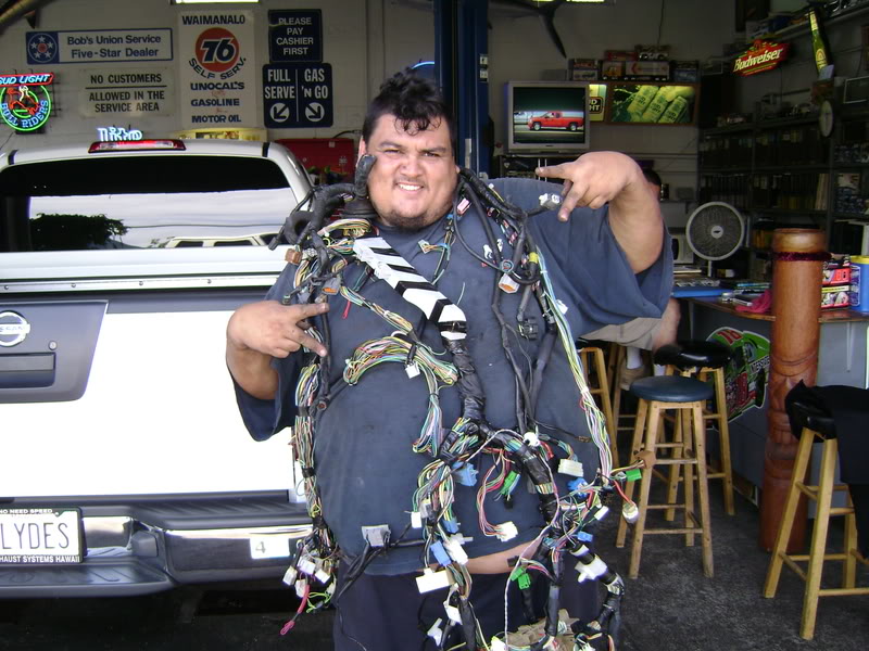 Name:  harnessblingbling.jpg
Views: 15
Size:  127.9 KB