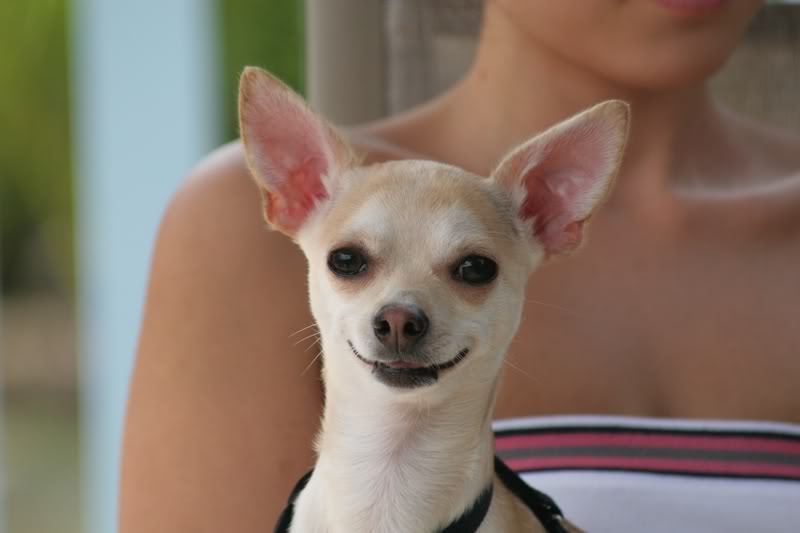 Name:  ruca3.jpg
Views: 12
Size:  28.3 KB