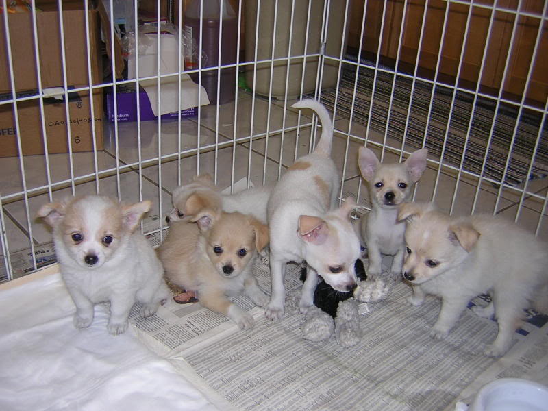 Name:  DSCN6896.jpg
Views: 12
Size:  83.4 KB