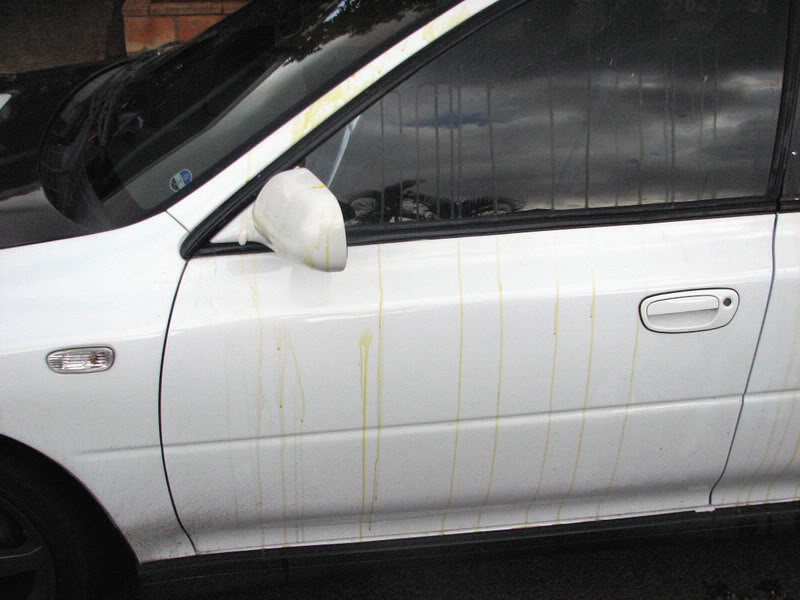 Name:  IMG_1320.jpg
Views: 24
Size:  70.4 KB