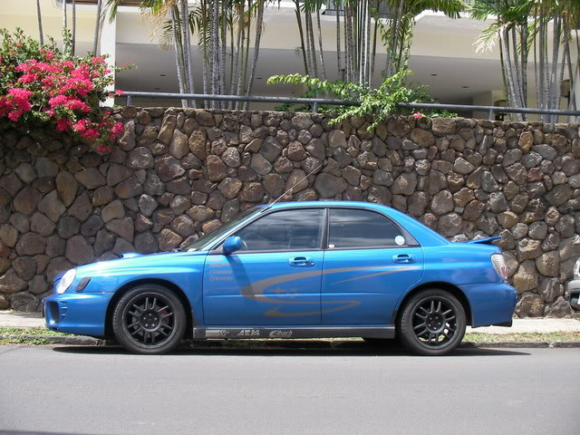 Name:  SANY0539.jpg
Views: 12
Size:  91.7 KB