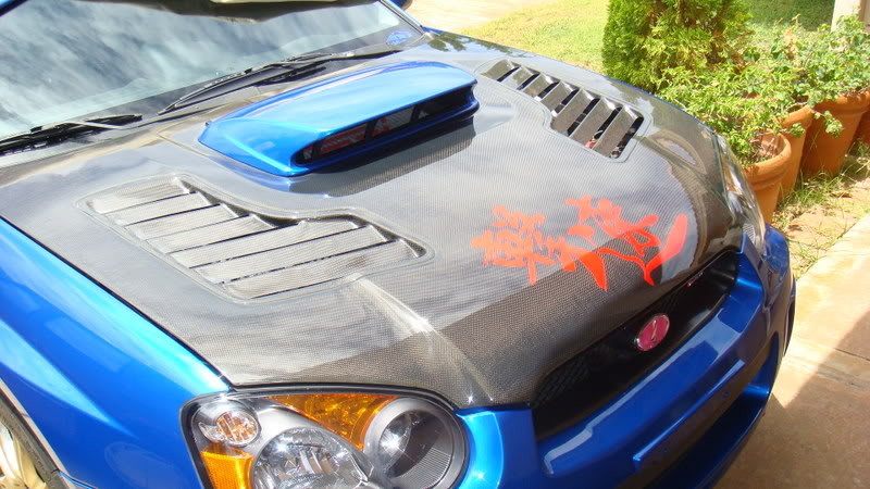 Name:  DSC00504.jpg
Views: 16
Size:  100.4 KB
