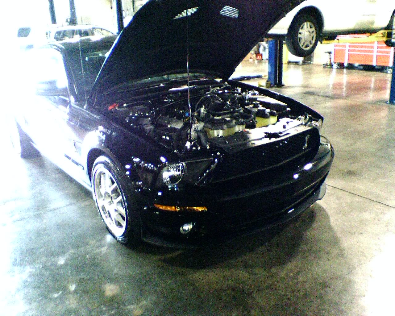 Name:  IMG00021.jpg
Views: 10
Size:  341.2 KB