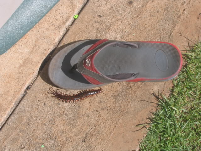 Name:  randomstuff002.jpg
Views: 16
Size:  98.6 KB