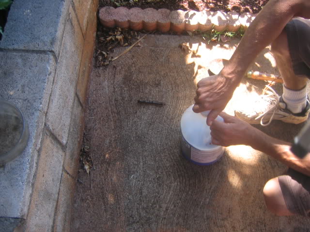 Name:  randomstuff003.jpg
Views: 15
Size:  71.7 KB