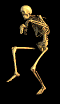 Name:  skeleton-4.gif
Views: 26
Size:  18.3 KB
