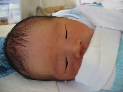 Name:  114-1476_IMG.jpg
Views: 17
Size:  15.8 KB